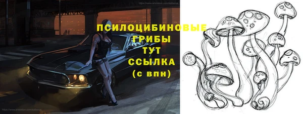 марки lsd Богородицк