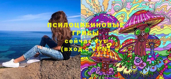 ПСИЛОЦИБИНОВЫЕ ГРИБЫ Белокуриха