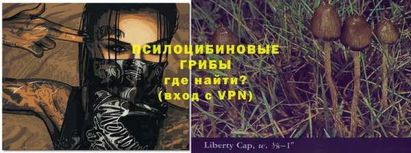 героин Богданович