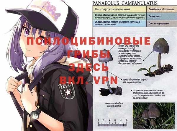 кокаин перу Богородск