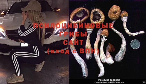 марки lsd Богородицк