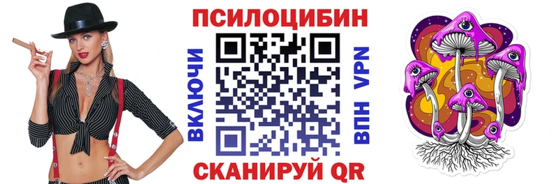 купить   Валуйки  Псилоцибиновые грибы мицелий 